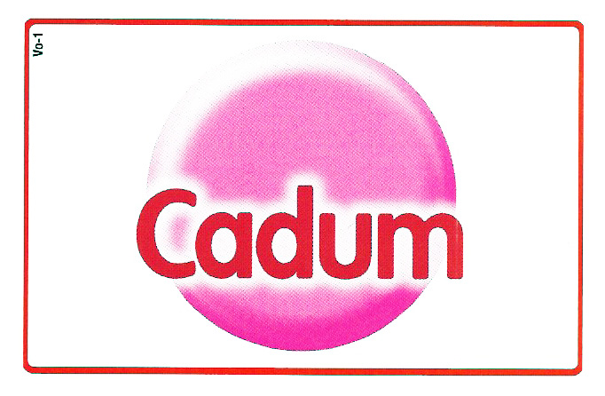 Le jeu du LOGO et des marques