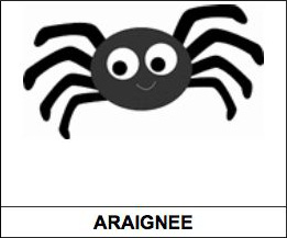 araignée